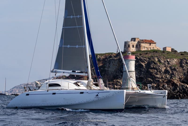 Latini Cat 43 - Detail View 1 Latini Cat 43 - Detail View 1