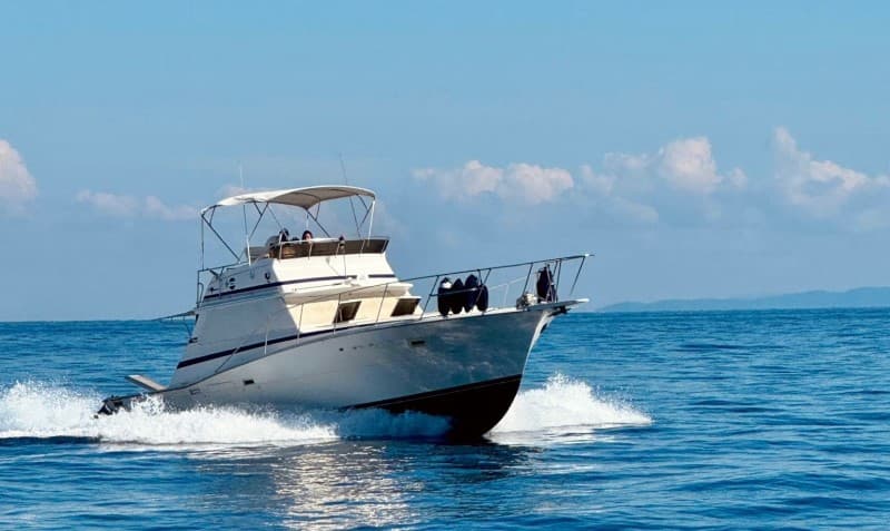 Viking Marin Viking 40 usato - dettaglio 1