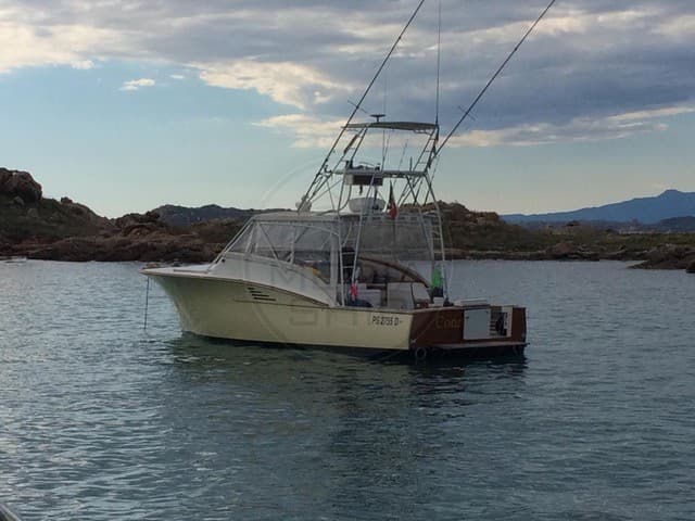 Ocean Tech Bimarine 40 usato - dettaglio 1