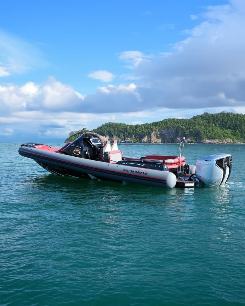 Mv Marine Mito 31 used - hero image 8