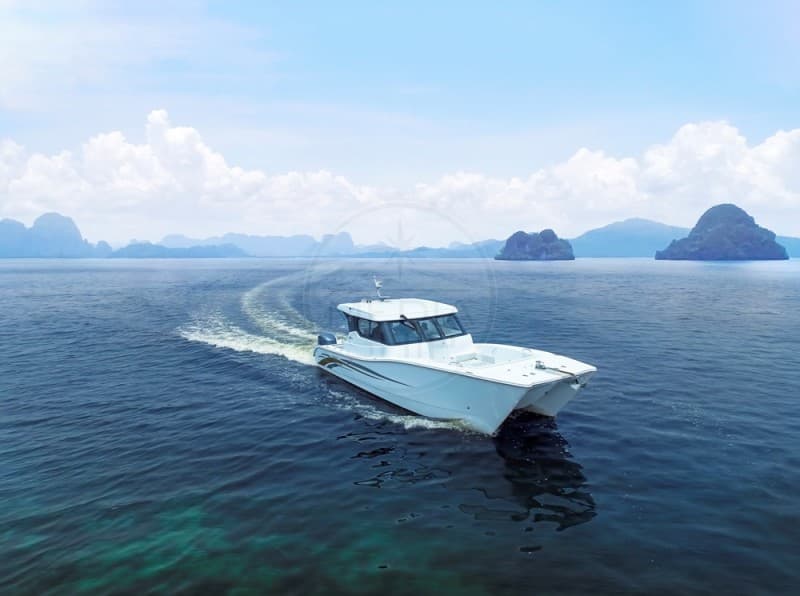 Gulf Craft Silvercat 34 Ht usato - dettaglio 1
