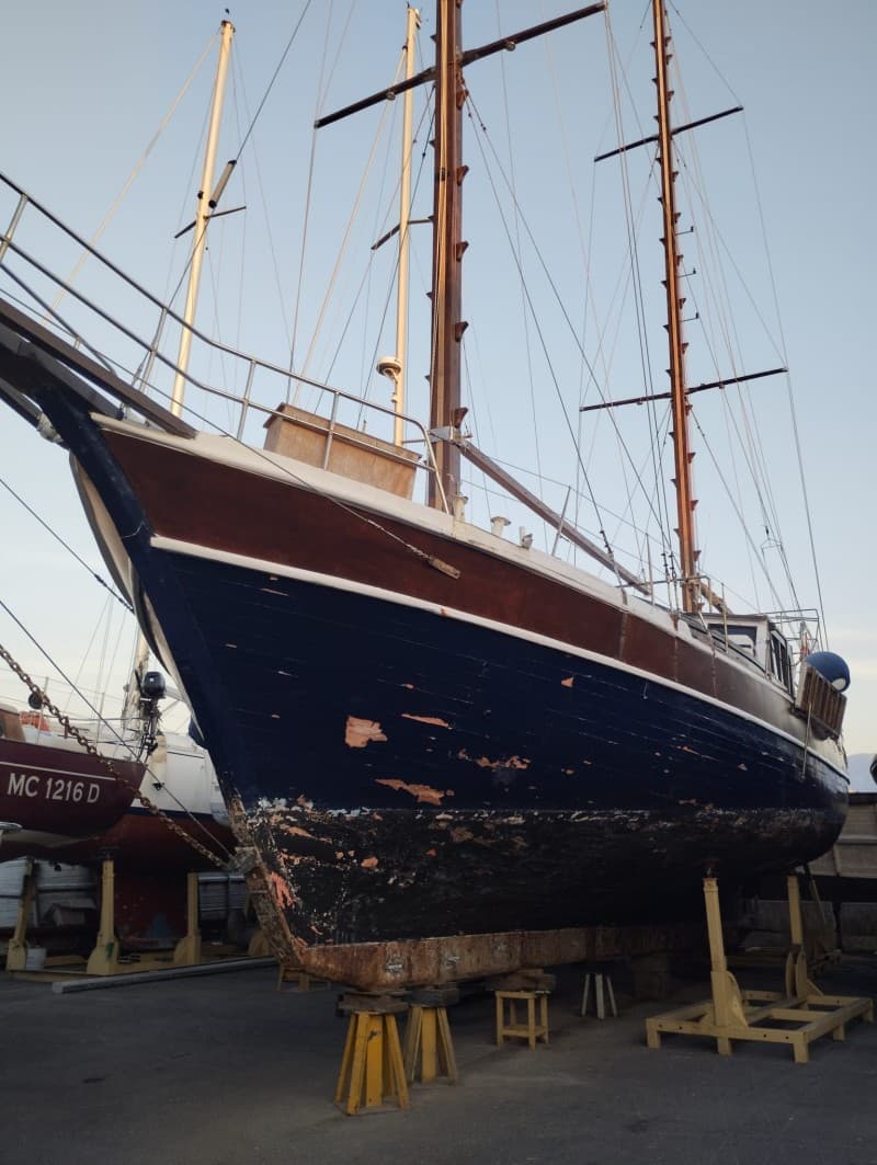 Dorsun Tosun Dorsun 16 Mt usato - dettaglio 1