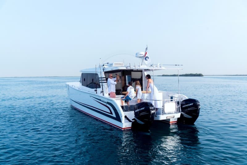 Gulf Craft Silvercat 40 Lux usato - dettaglio 2