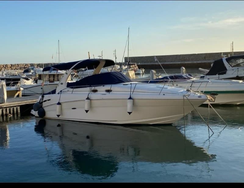 Sea Ray 335 Dancer d'occasion - détail 1