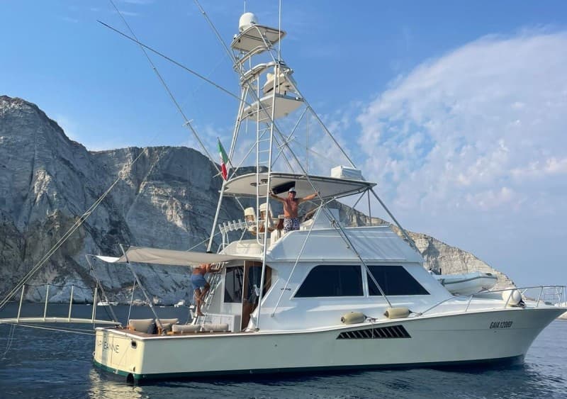 Viking Marin Viking 50 - Main View Viking Marin Viking 50 - Main View