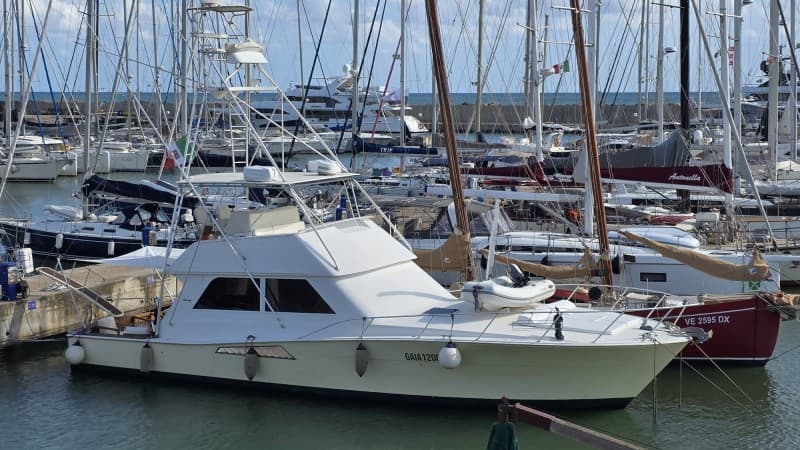 Viking Marin Viking 50 usato - dettaglio 1