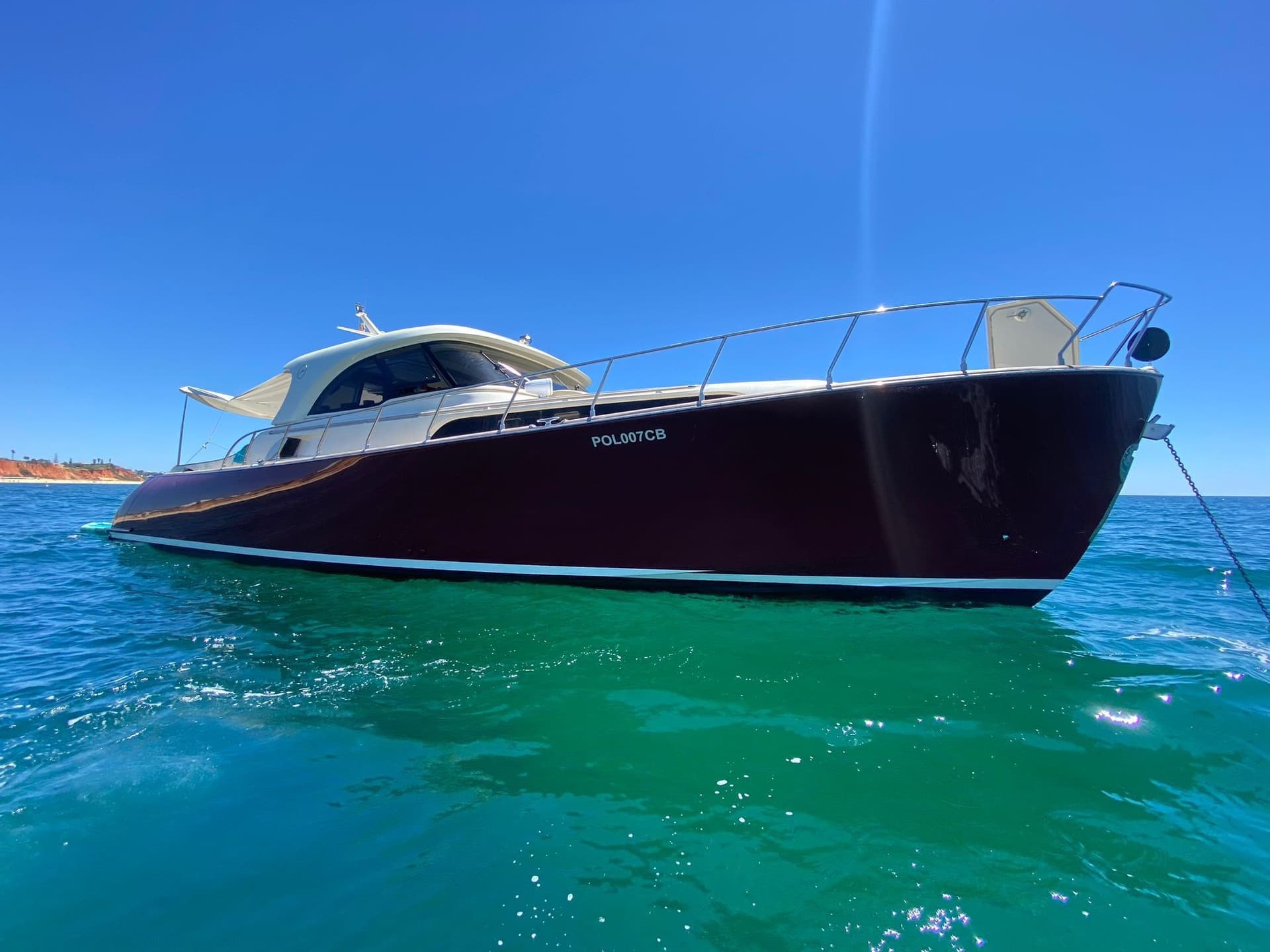 Mochi Craft Mochi 51 Dolphin - Main View Mochi Craft Mochi 51 Dolphin - Main View