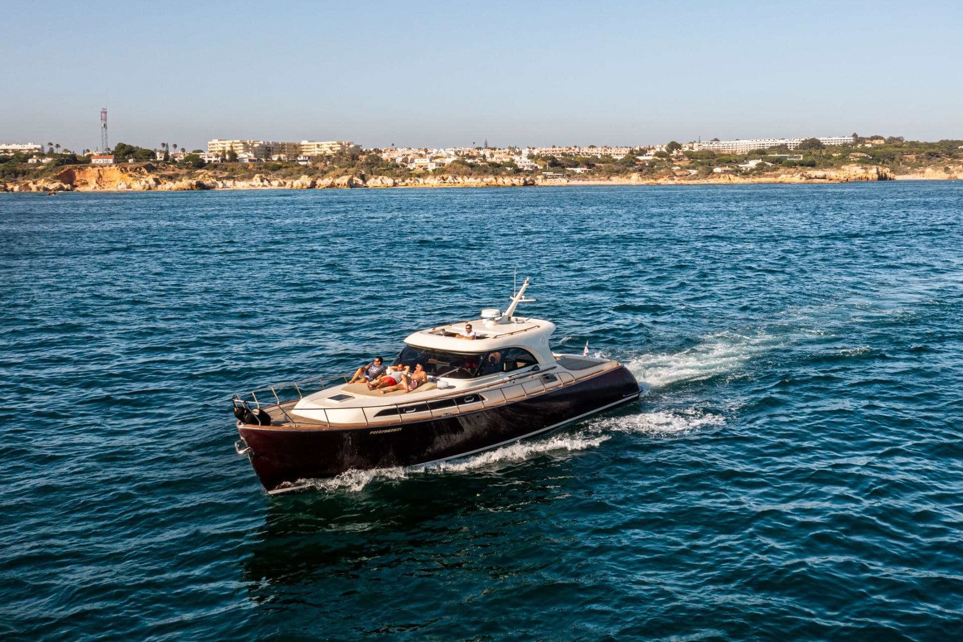 Mochi Craft Mochi 51 Dolphin - Detail View 1 Mochi Craft Mochi 51 Dolphin - Detail View 1