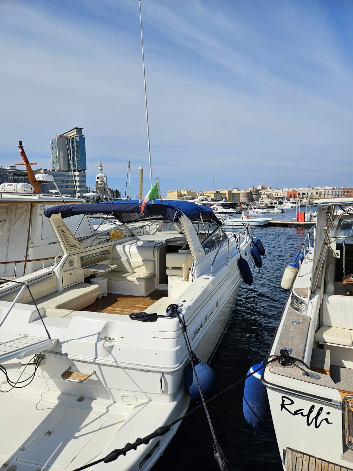 Fiart Mare Fiart 36 Genius - Deck View Fiart Mare Fiart 36 Genius - Deck View