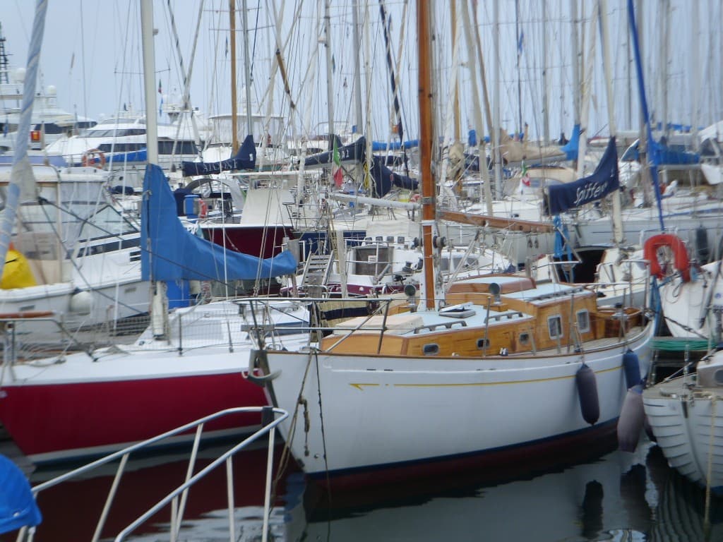 Merani Aliseo - Detail View 1 Merani Aliseo - Detail View 1