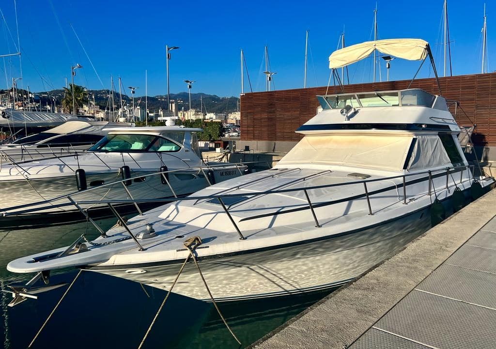 Sea Ray 430 Convertible usato - dettaglio 1