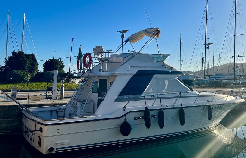 Sea Ray 430 Convertible usato - dettaglio 1