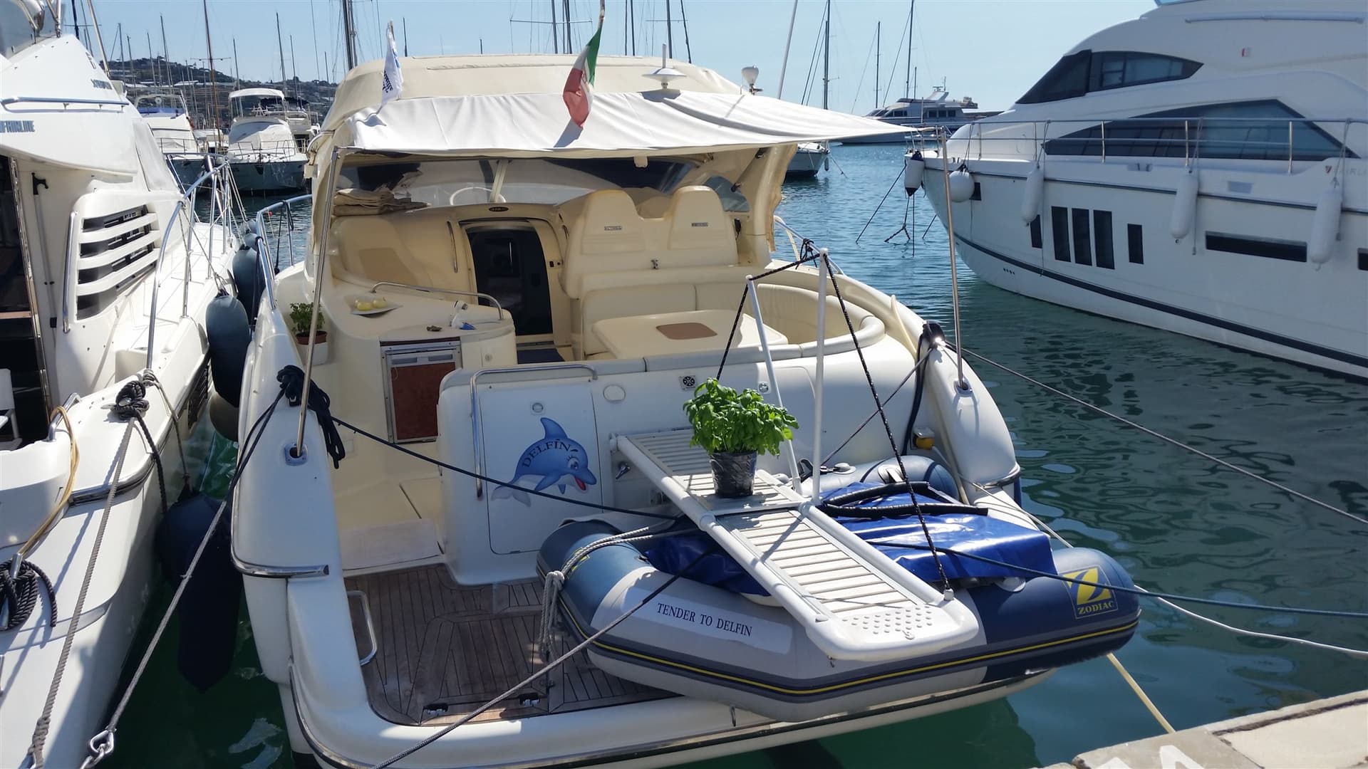 Gobbi 375 Sc - Detail View 1 Gobbi 375 Sc - Detail View 1