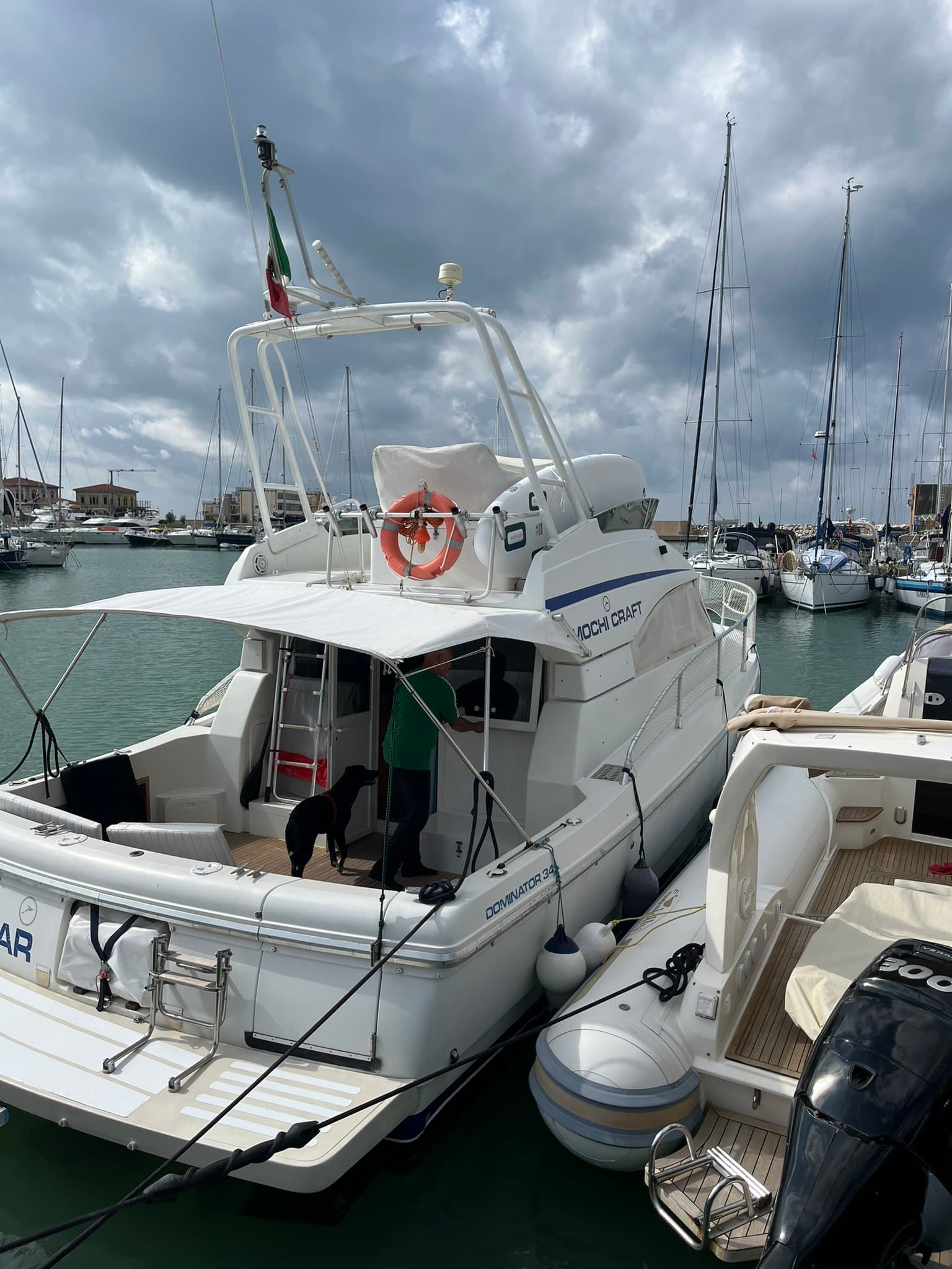 Mochi Craft Dominator 34 - Detail View 1 Mochi Craft Dominator 34 - Detail View 1