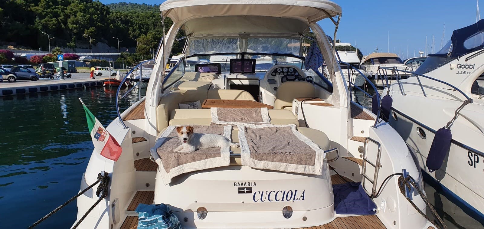 Bavaria 34 Sport usato - dettaglio 3