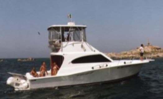 Luhrs Luhrs 400 Conv. used - detail 1