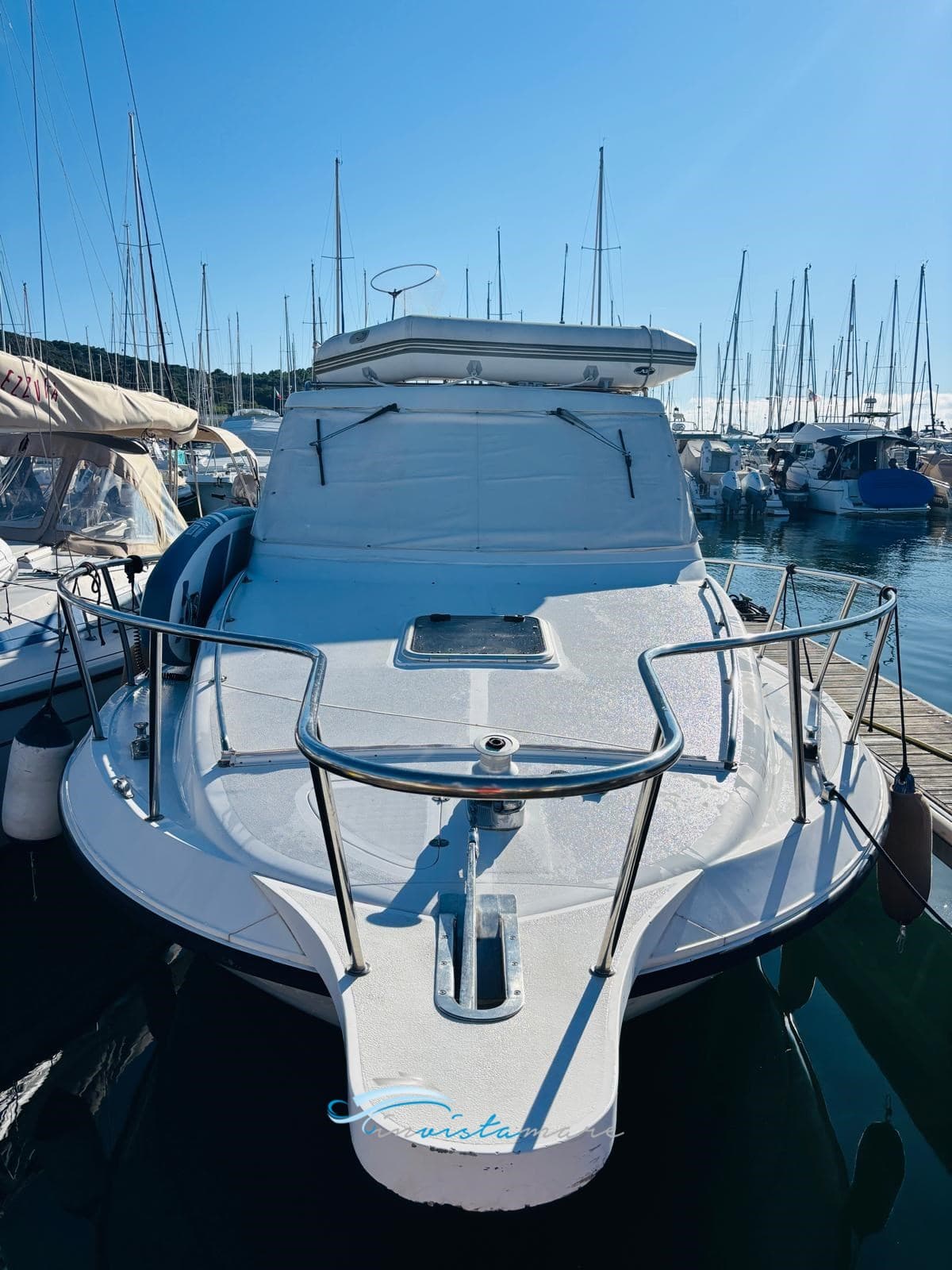 Plastik Space 290 Cruiser usato - dettaglio 3