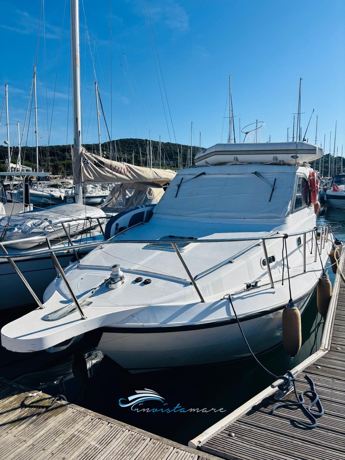 Plastik Space 290 Cruiser usato - dettaglio 1