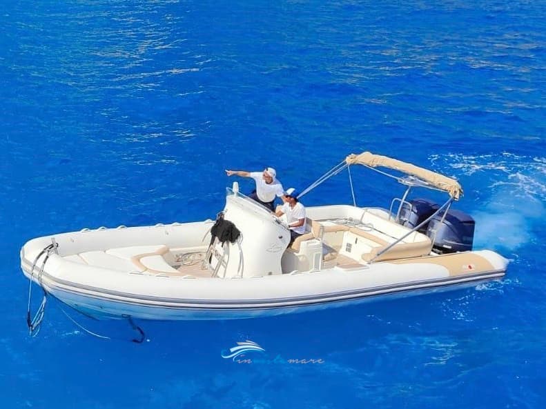 Zodiac Italia Avon Gt 850 - Main View Zodiac Italia Avon Gt 850 - Main View