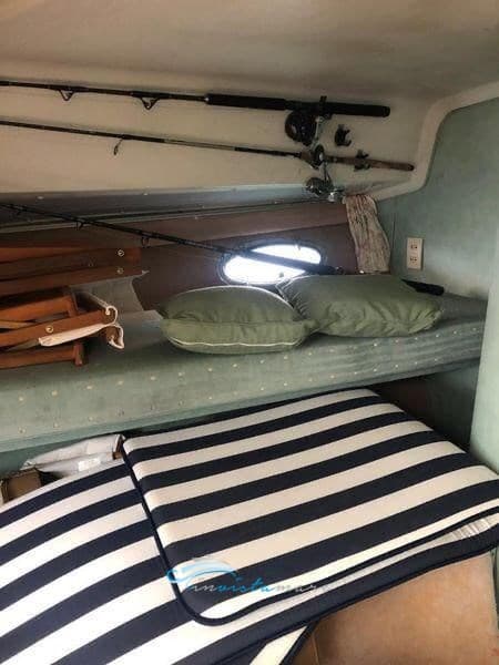 Trojan Yacht-Bertram 38 Express gebraucht - Hauptbild 21