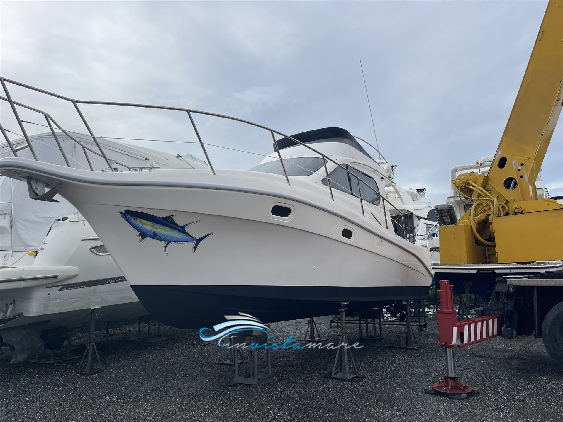 Intermare Intermare 30 Fly - Main View Intermare Intermare 30 Fly - Main View