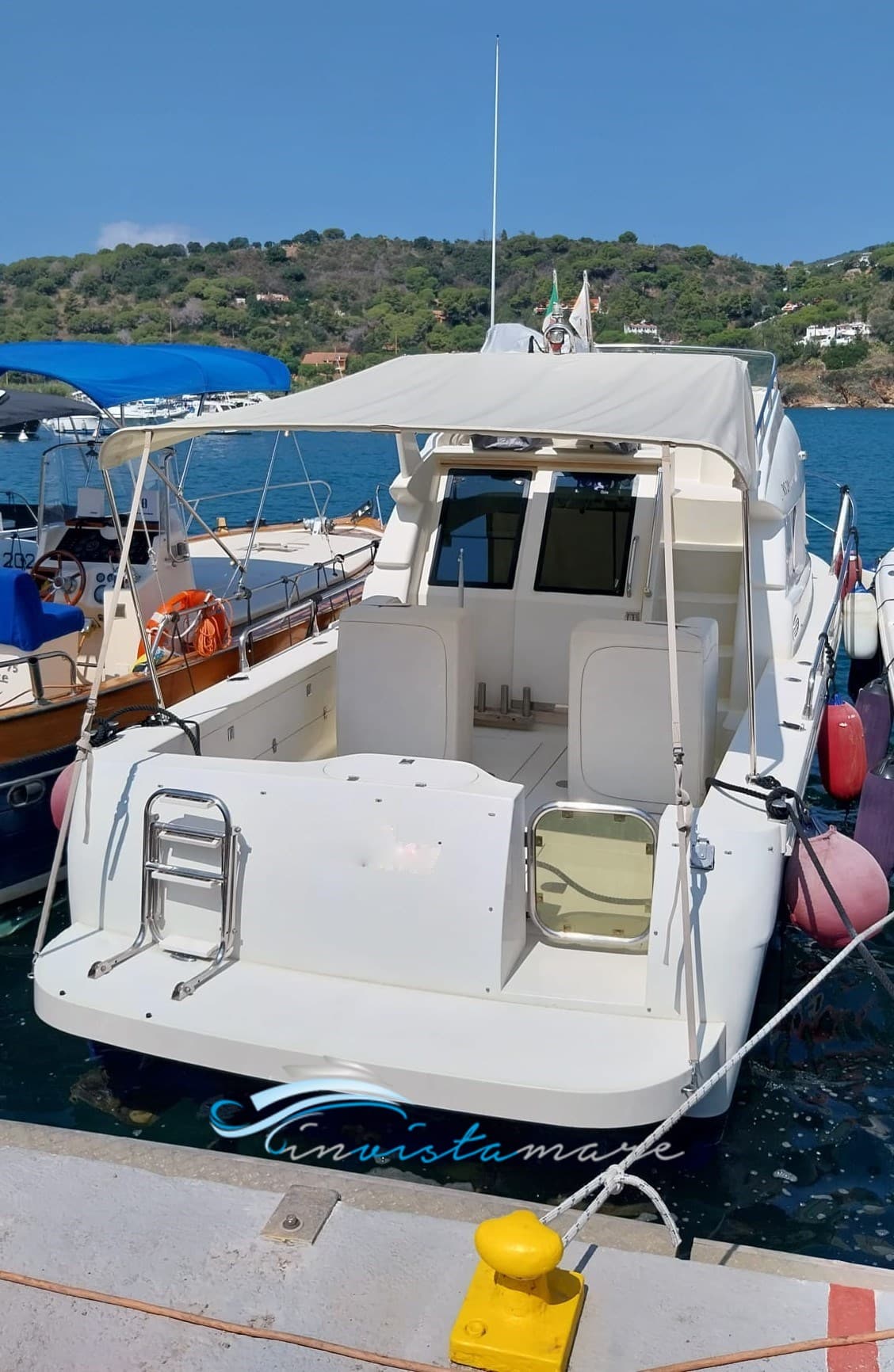 Ars Mare Ars Monaco Rs29 usato - dettaglio 2