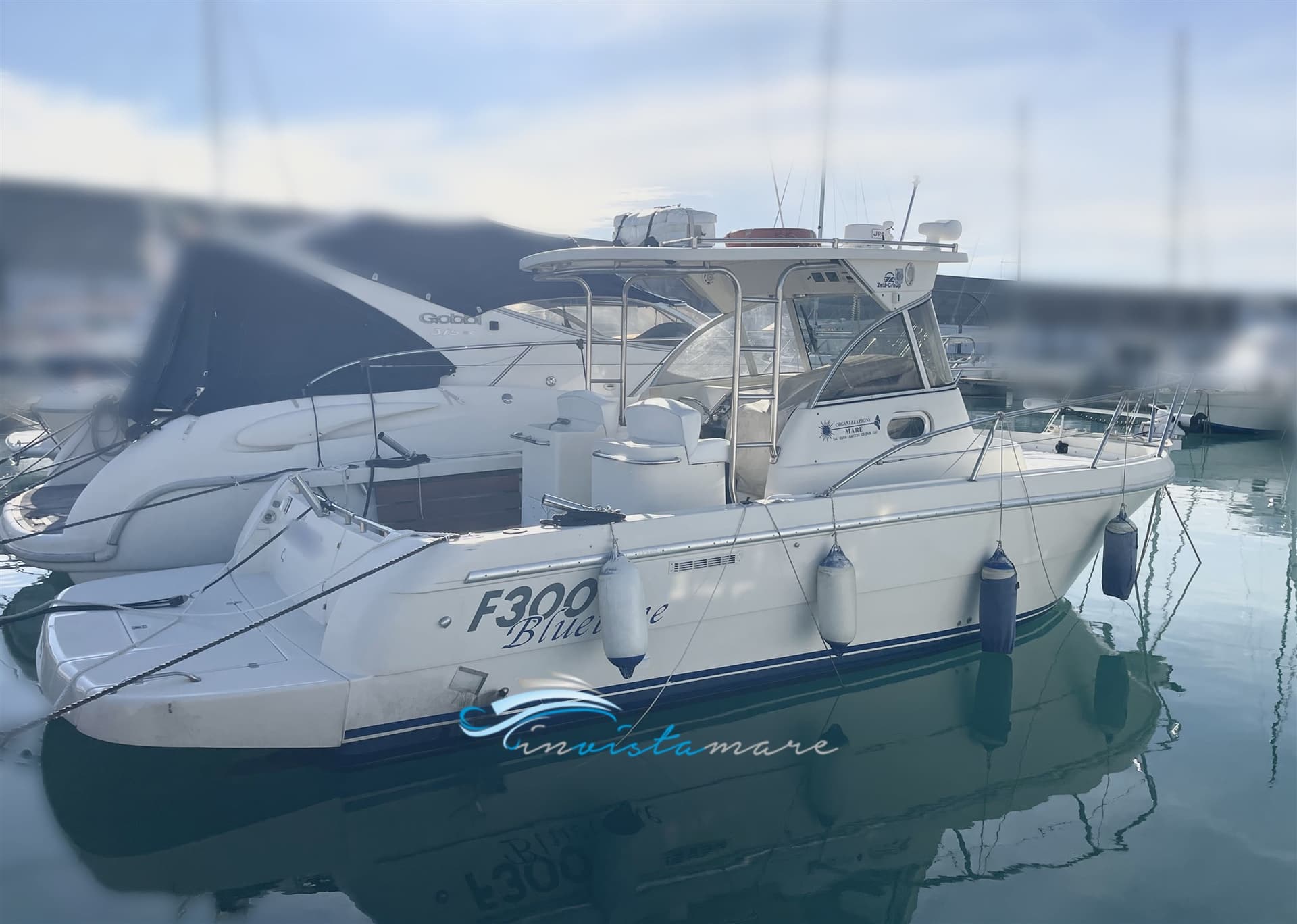 Zeta Group F 300 Bluetime - Main View Zeta Group F 300 Bluetime - Main View