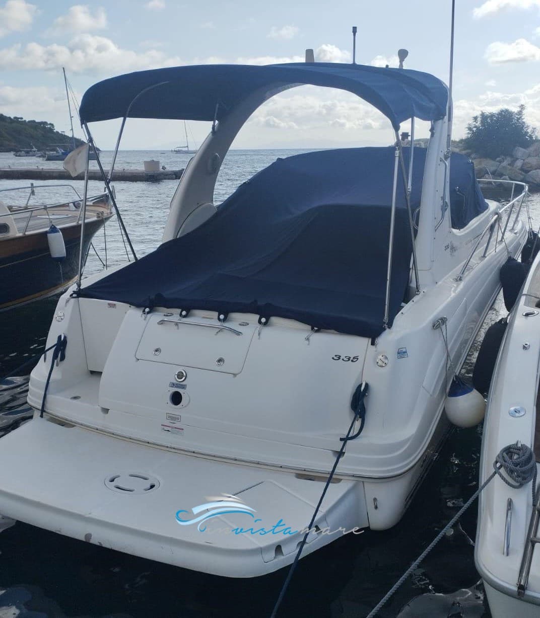 Sea Ray 335 Da usato - dettaglio 3