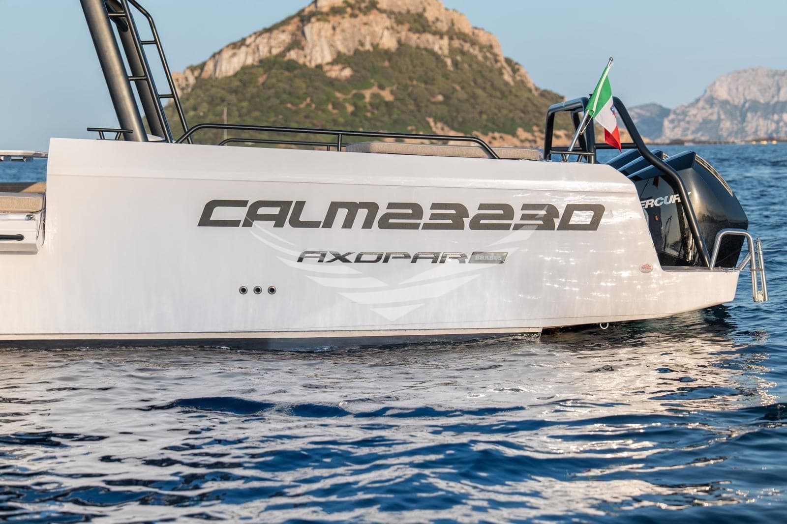 Axopar 45 used - detail 4