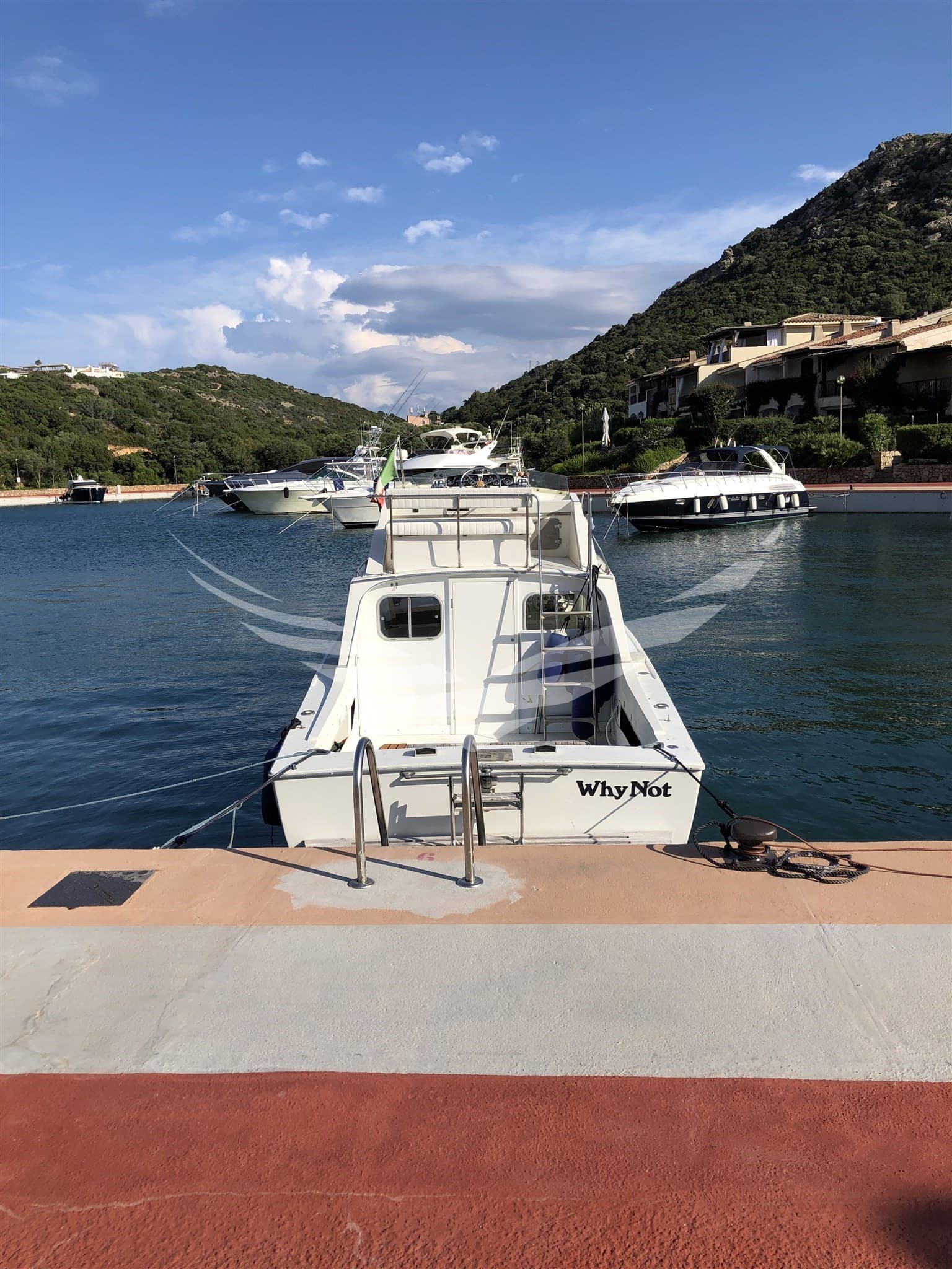 Bertram Yacht 26' Sf usato - dettaglio 2