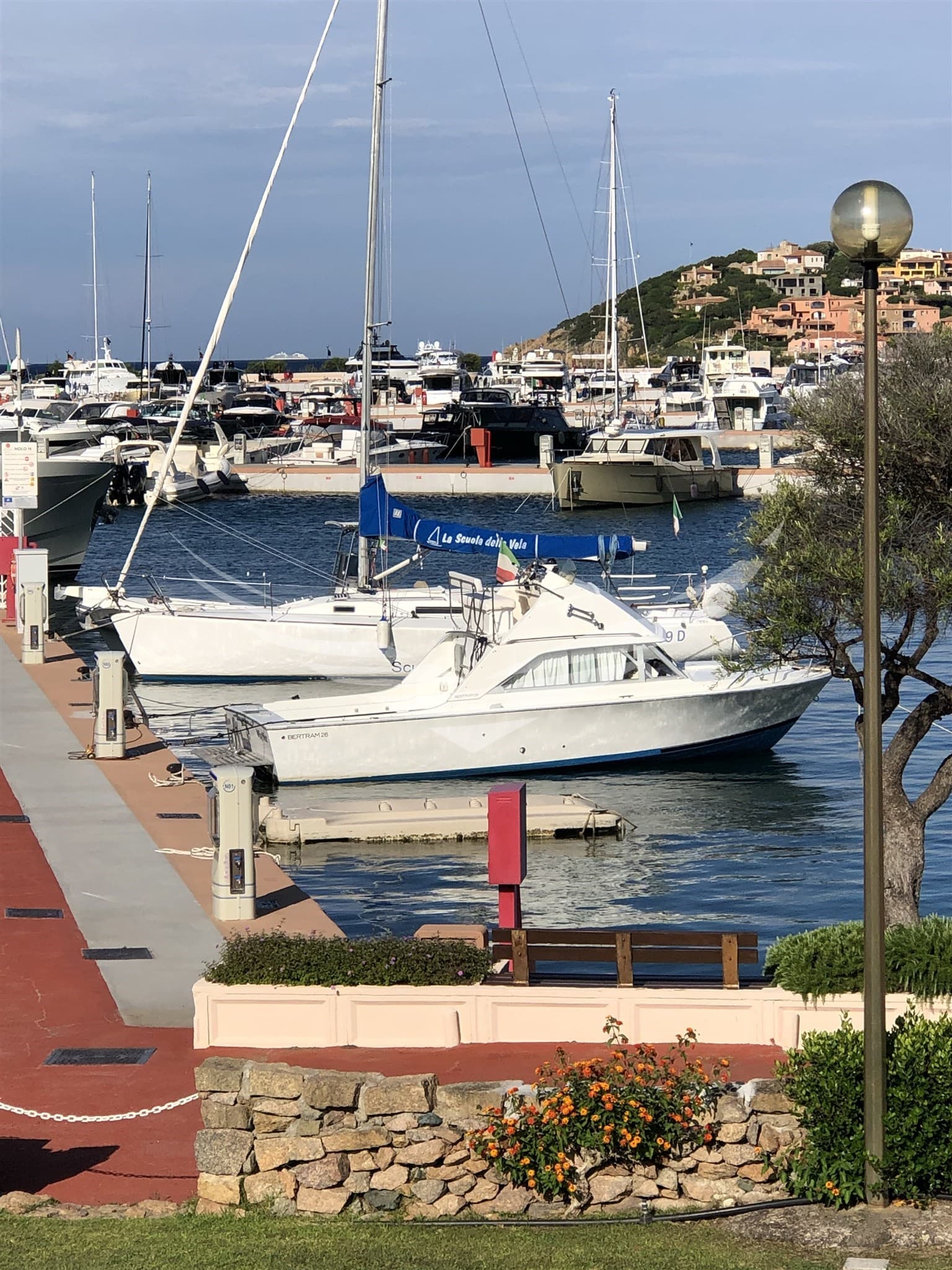 Bertram Yacht 26' Sf usato - dettaglio 1