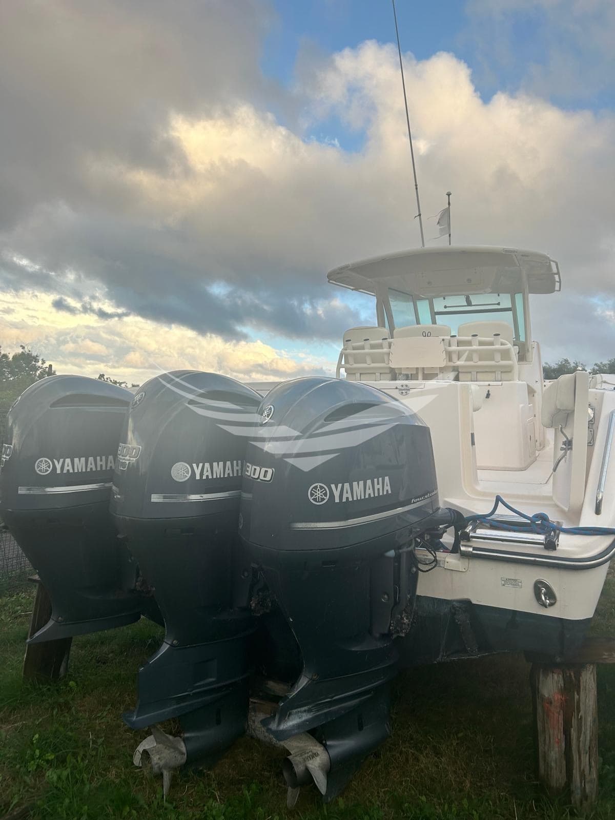 Grady White Boats 366 CANYON usato - foto hero 10