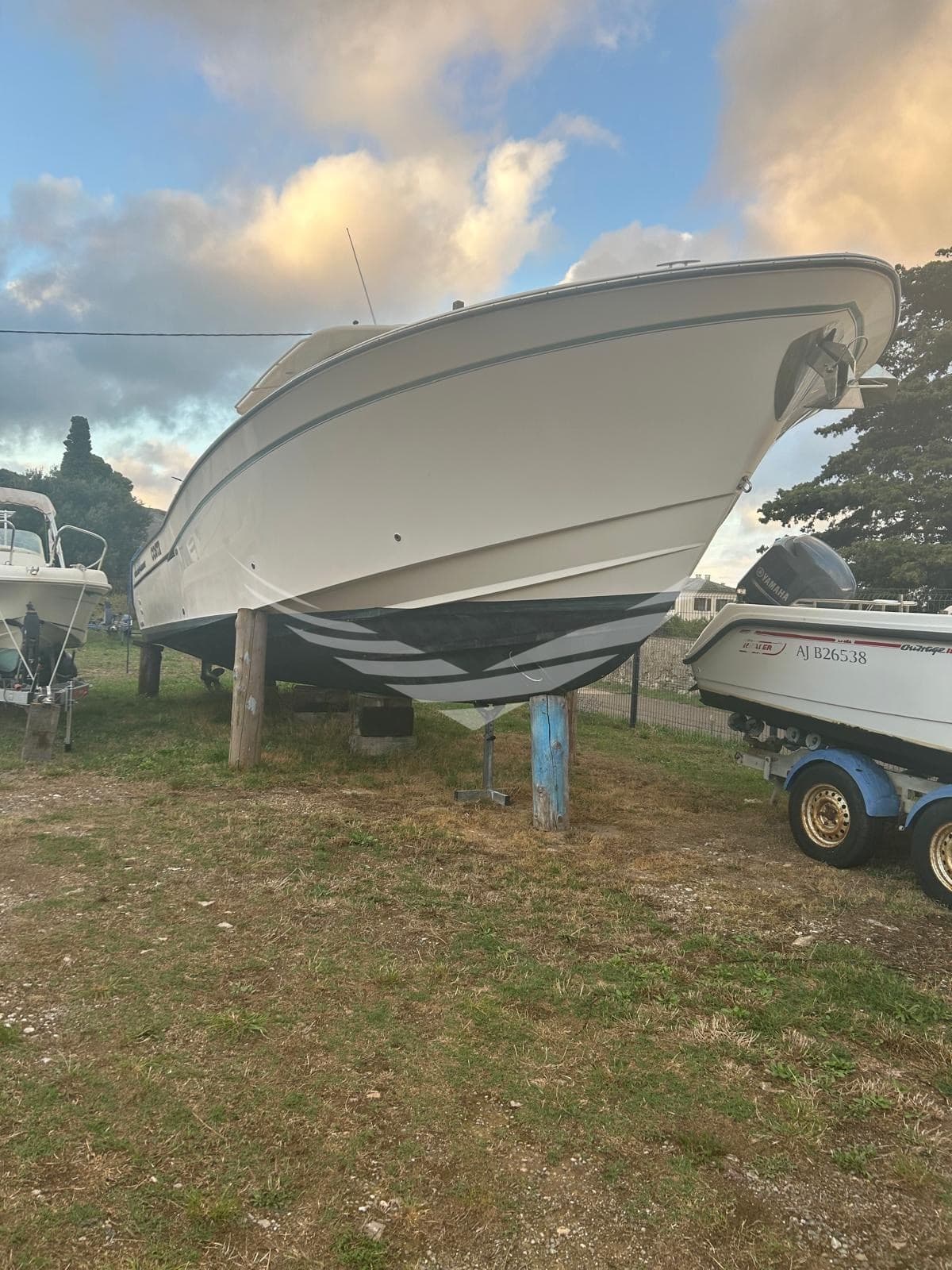 Grady White Boats 366 CANYON usato - foto hero 23