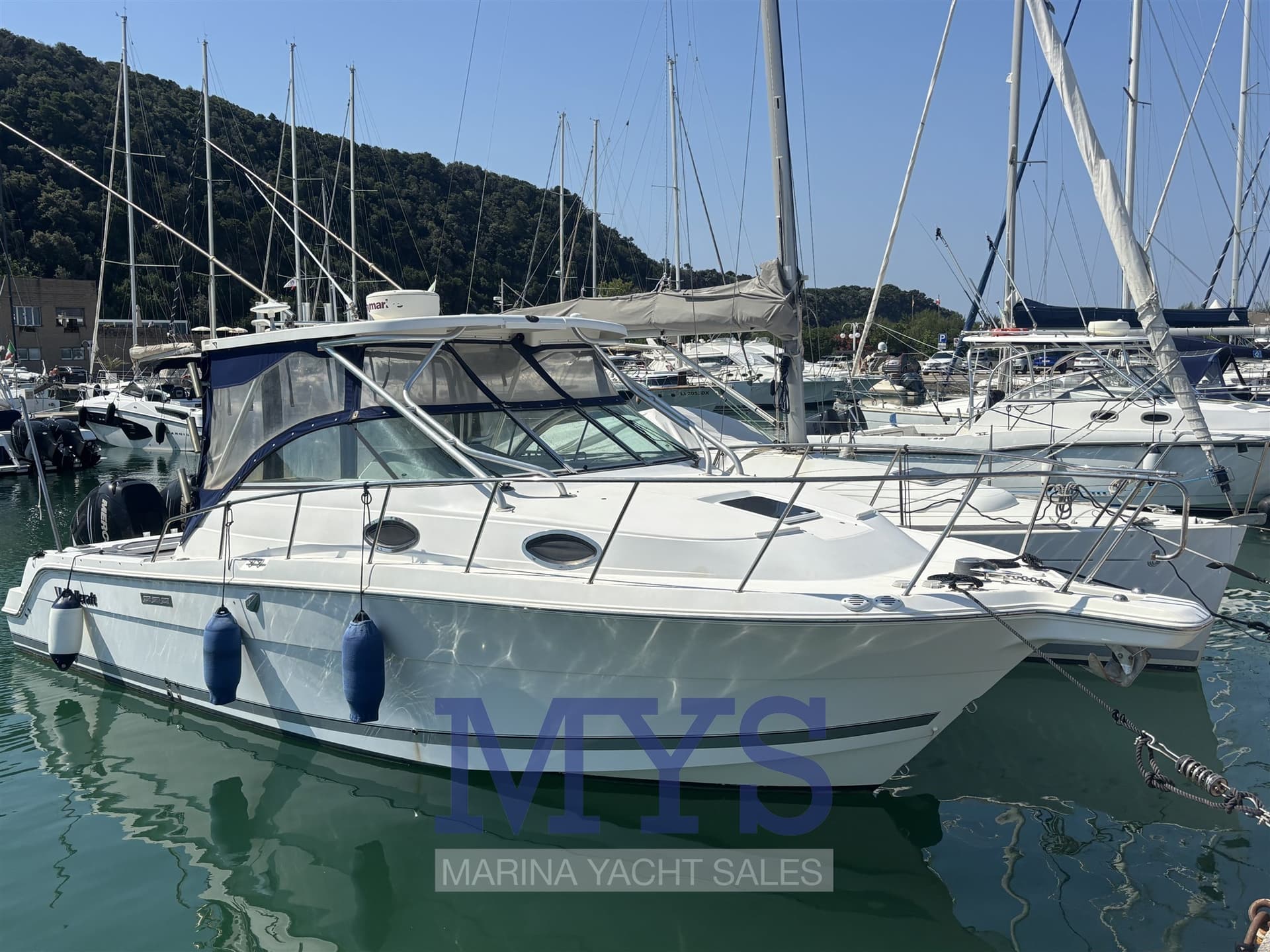 Wellcraft Marine 290 Coastal FB usato - vista principale