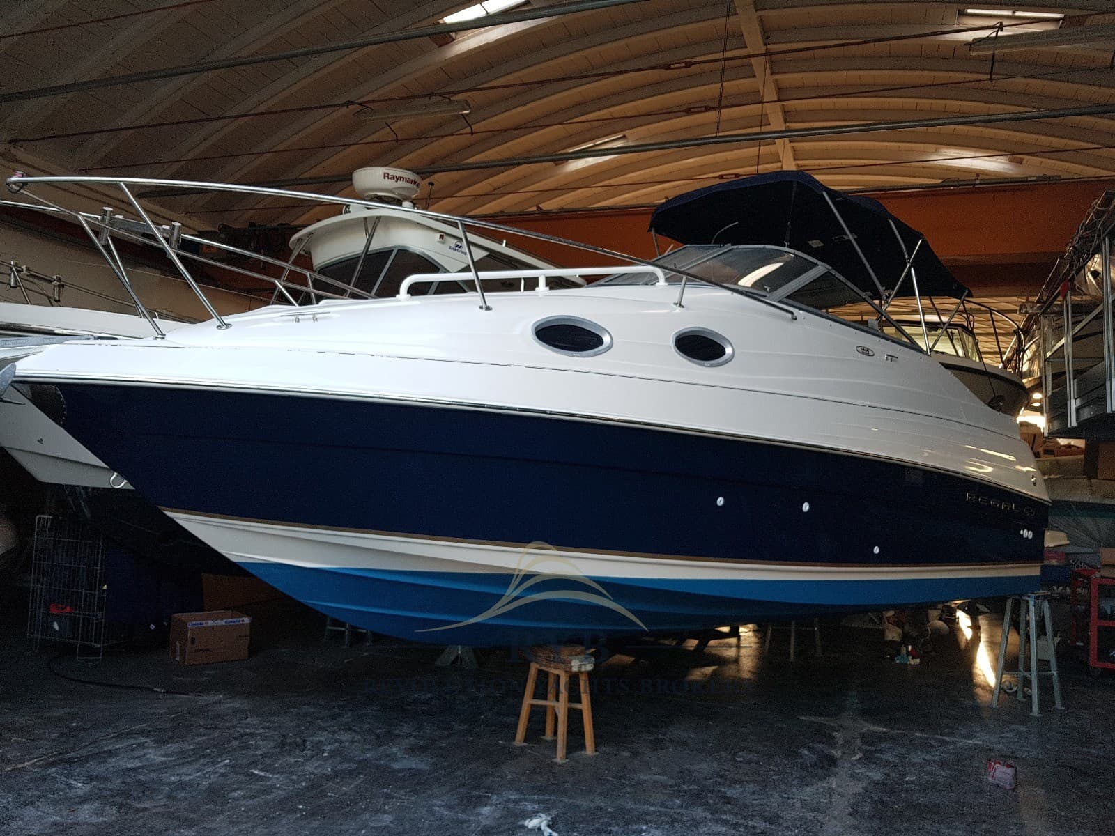 Regal Marine COMMODORE 242 used - main view