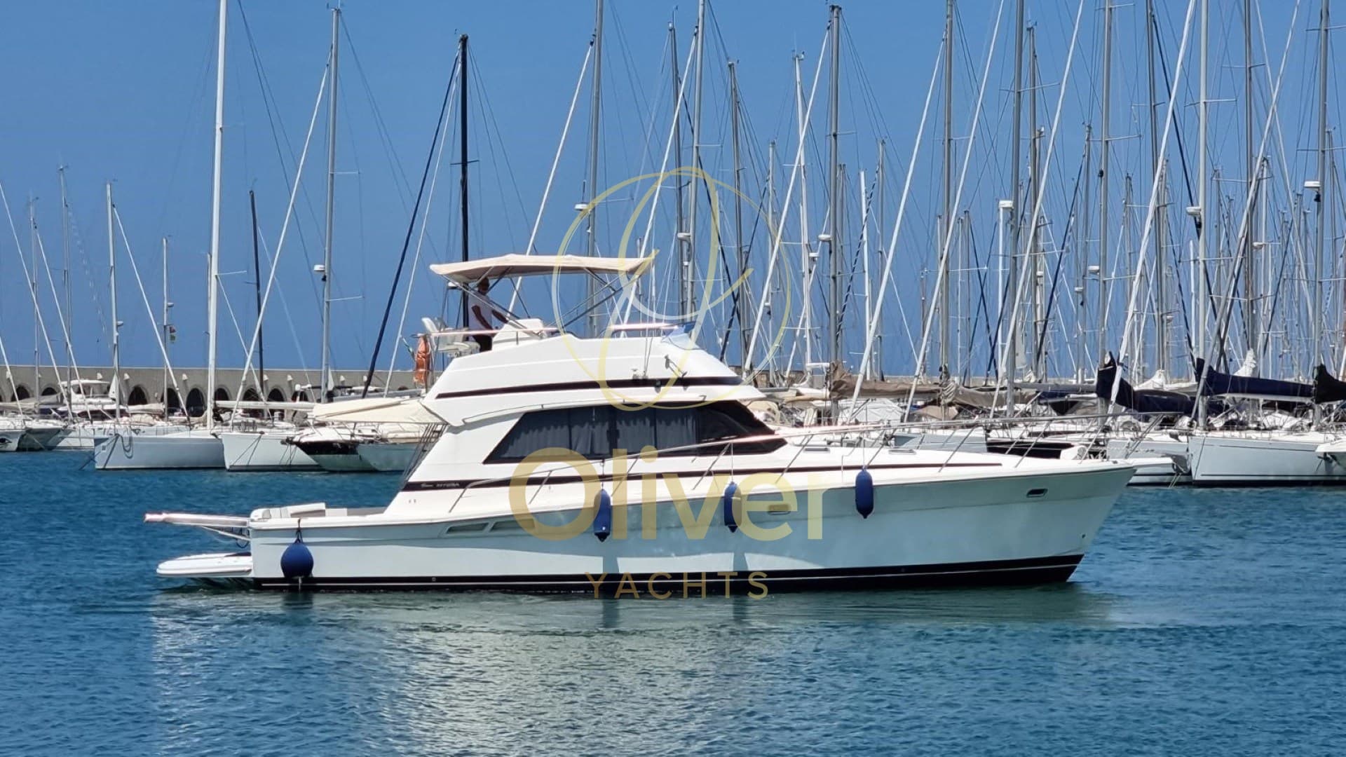 Riviera 43 Fischerman FLY usato - foto hero 2