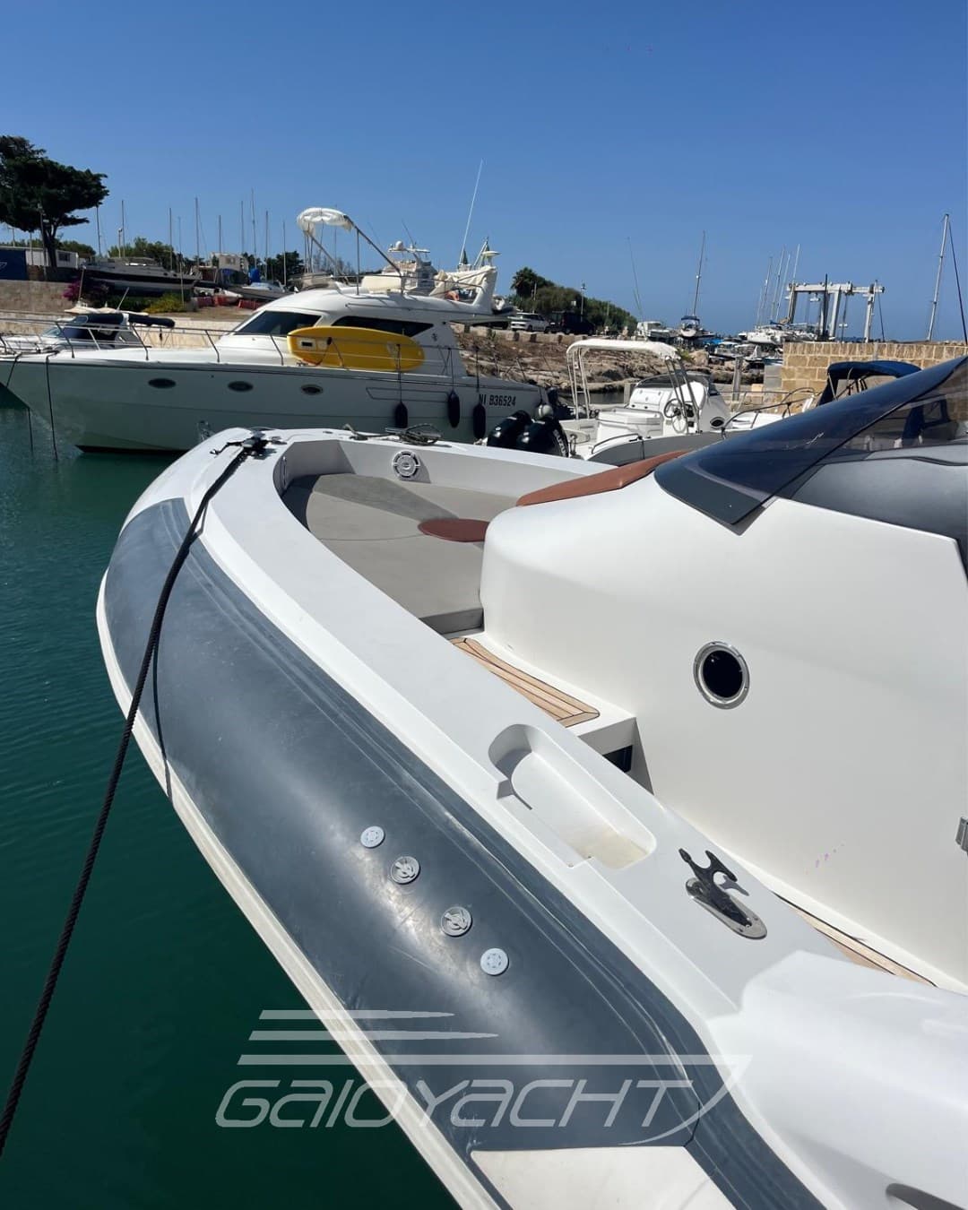 Phyton C 33 used - detail 3