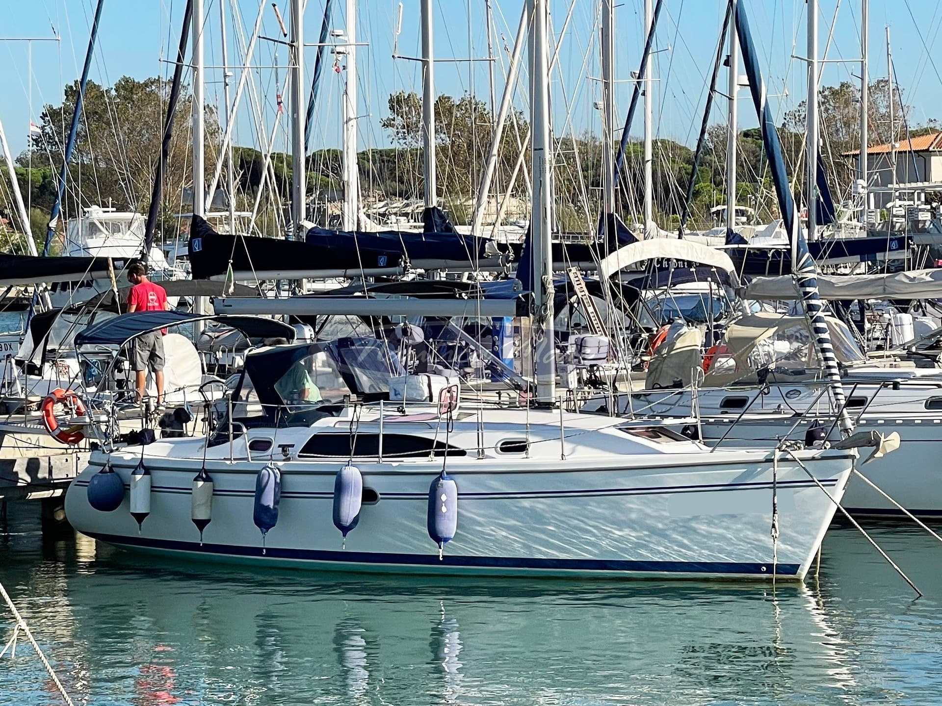 Catalina Yachts Catalina 309 - Main View Catalina Yachts Catalina 309 - Main View