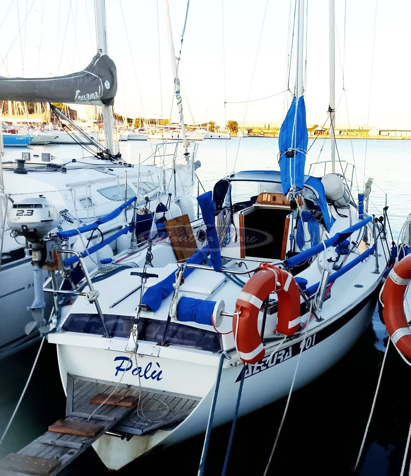 Altura Altura 901 - Detail View 1 Altura Altura 901 - Detail View 1