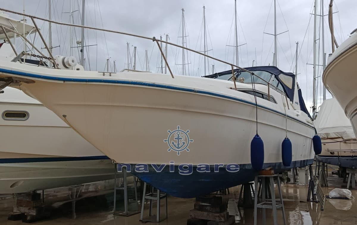 Sea Ray 290 Sundancer usato - dettaglio 1