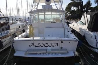 Albemarle 330 XF Features usato - foto hero 14