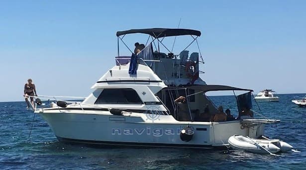 Bertram Yacht 37' SF d'occasion - image hero 18