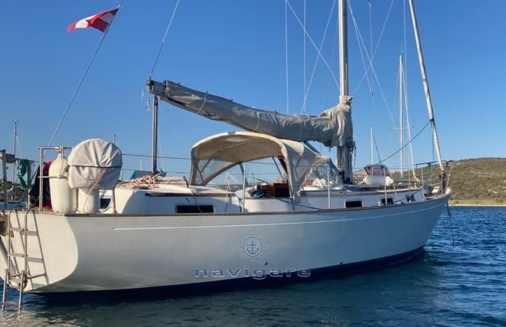 Trintella 3 - Main View Trintella 3 - Main View