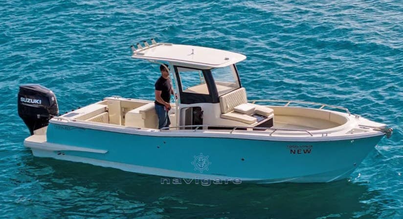 Tuccoli Marine T250 VMax usato - vista principale