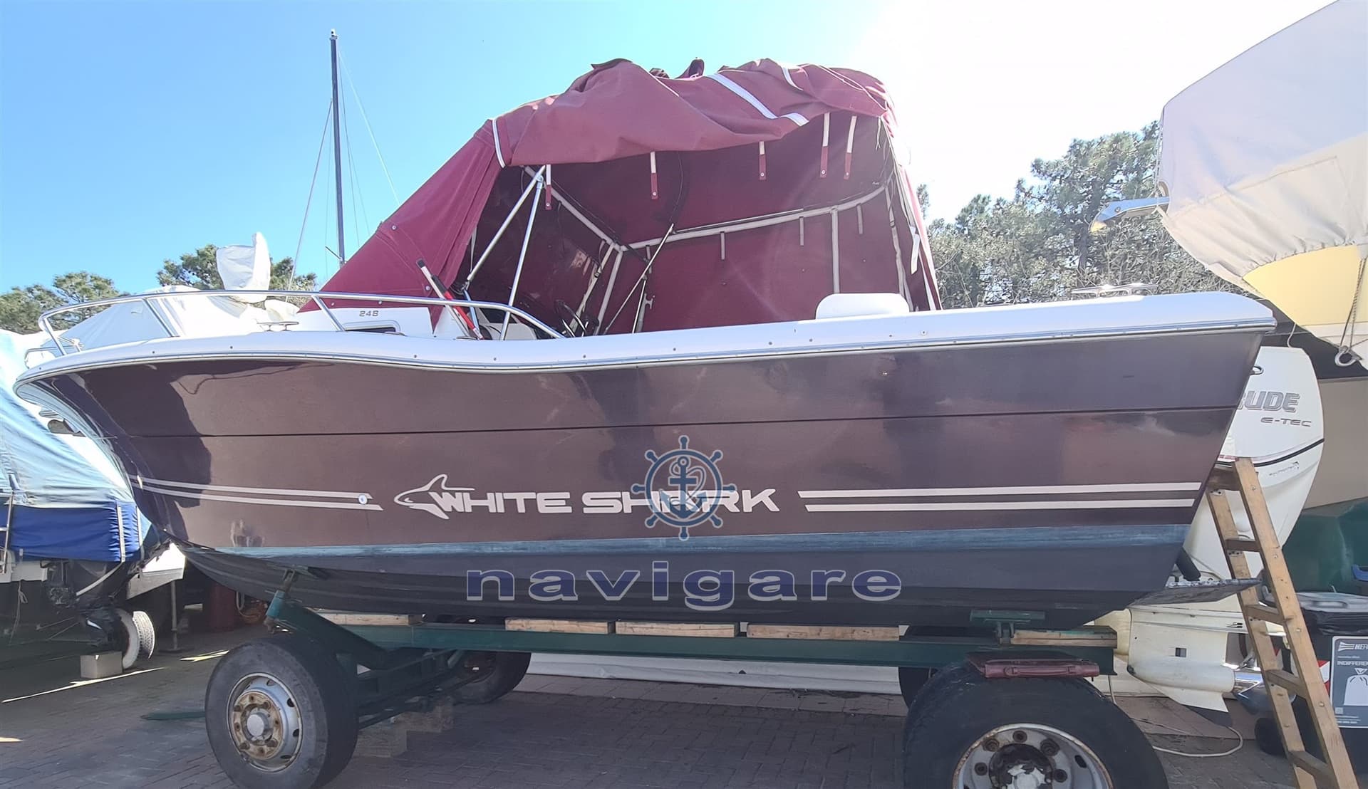 Kelt WHITE SHARK 248 SUNDECK usato - foto hero 13