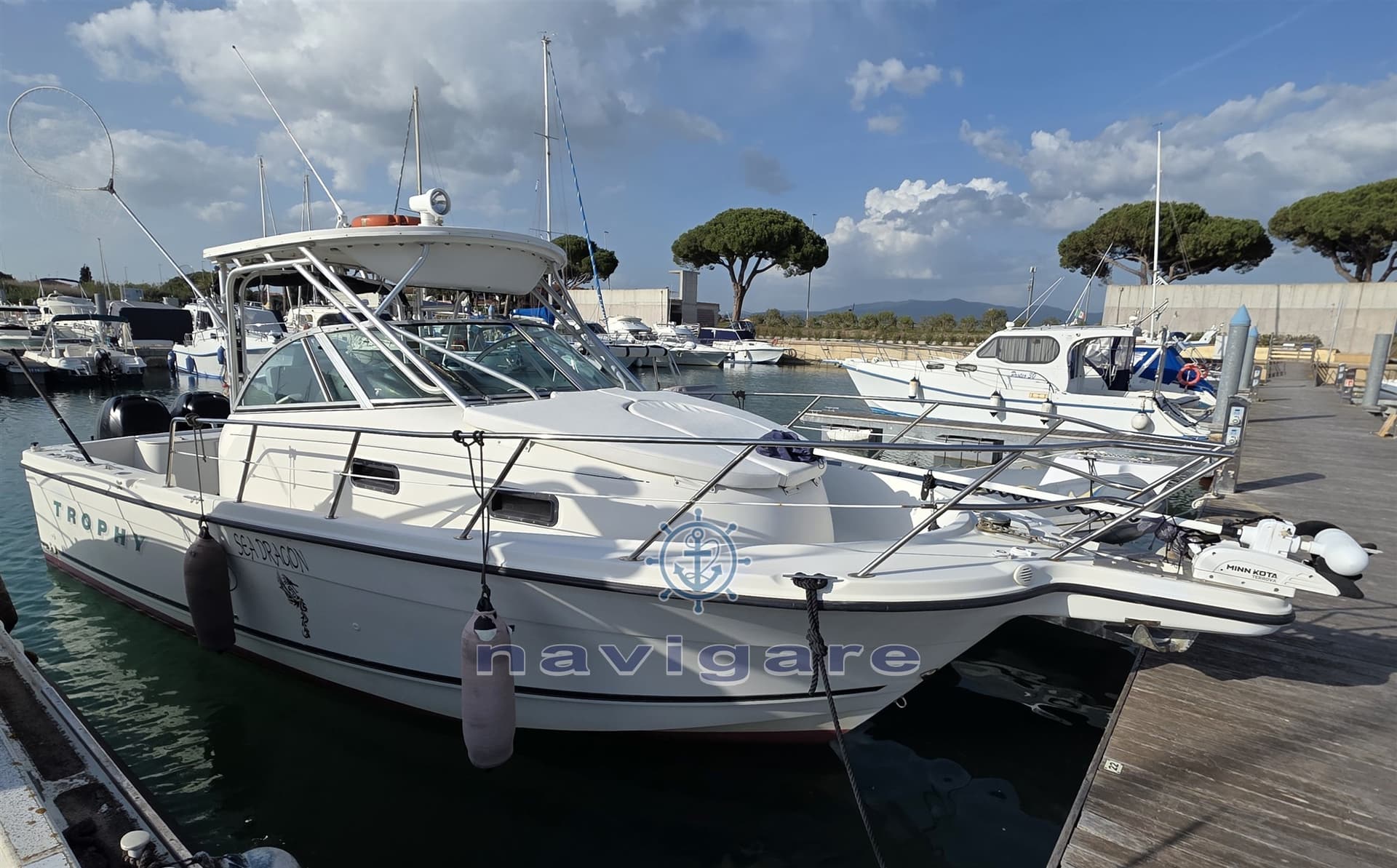 Bayliner Trophy 2802 Fh usato - dettaglio 1