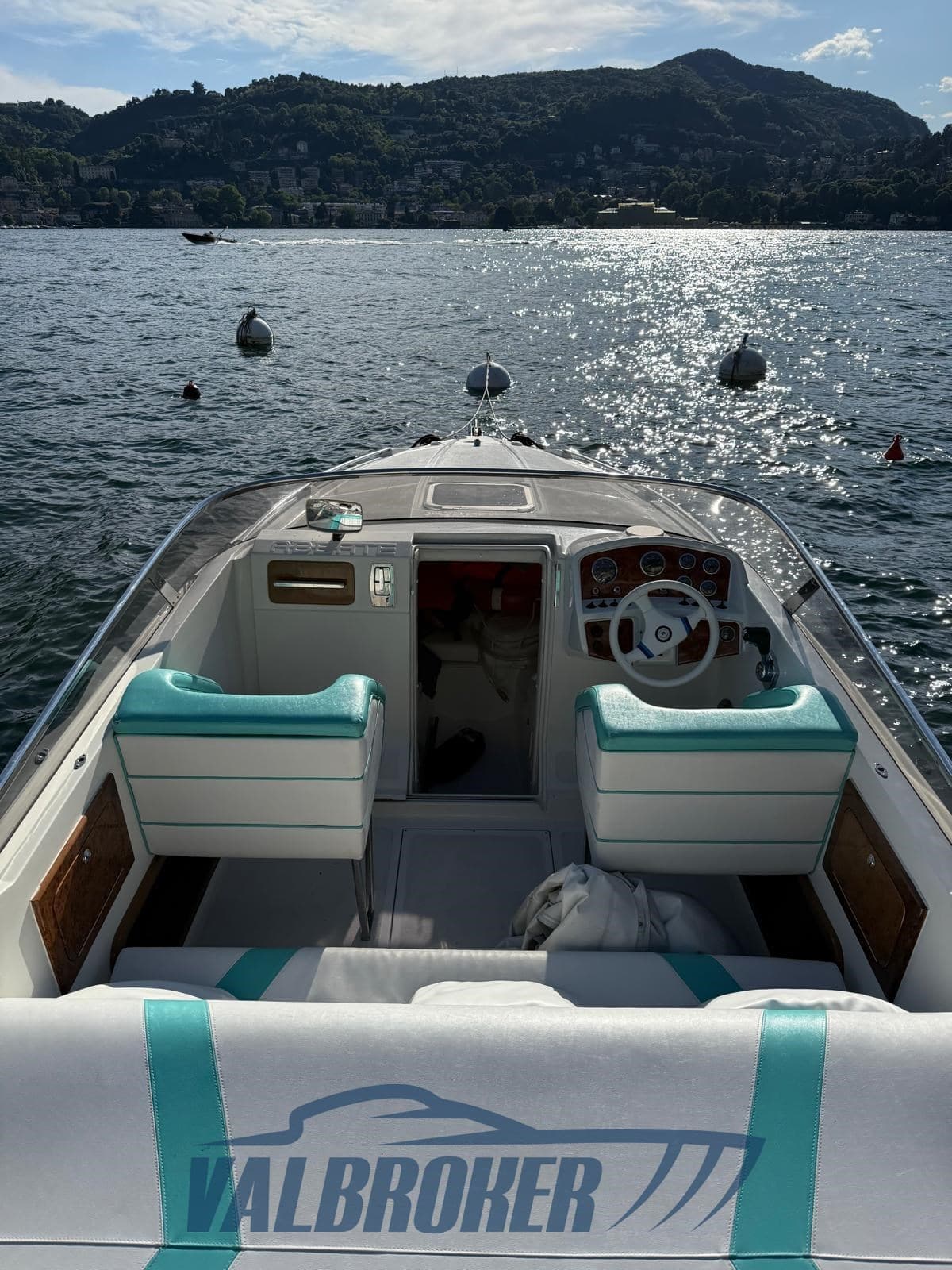 Abbate Bruno Primatist 25 - Detail View 1 Abbate Bruno Primatist 25 - Detail View 1