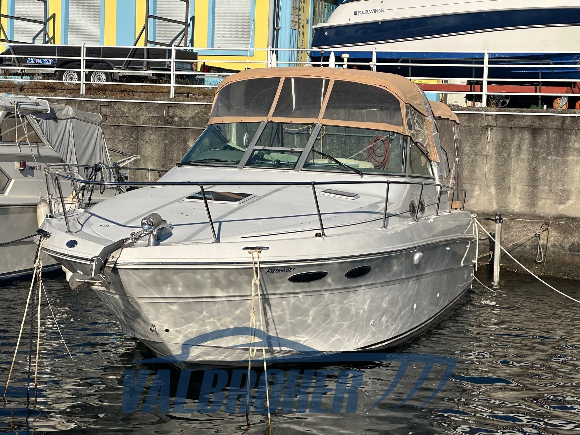 Sea Ray 310 SUNDANCER usato - vista principale