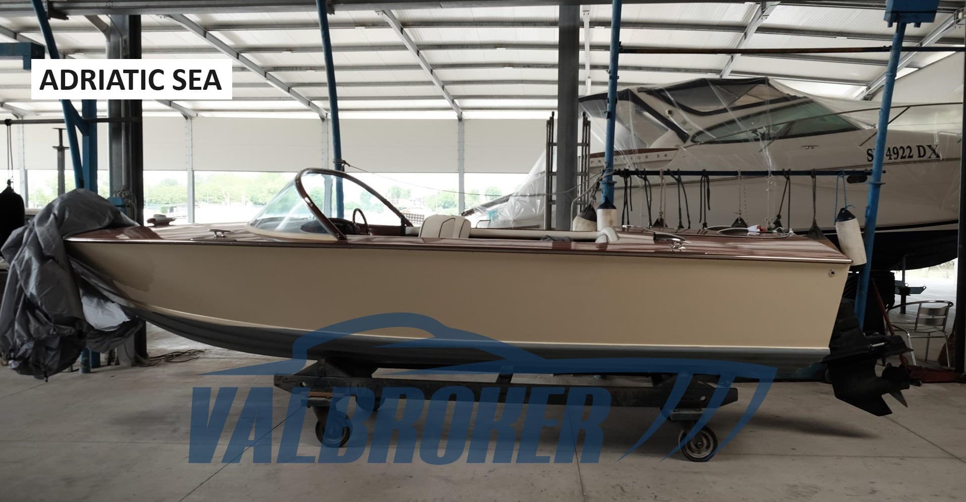 Dalla Pietà Adriatico - Main View Dalla Pietà Adriatico - Main View