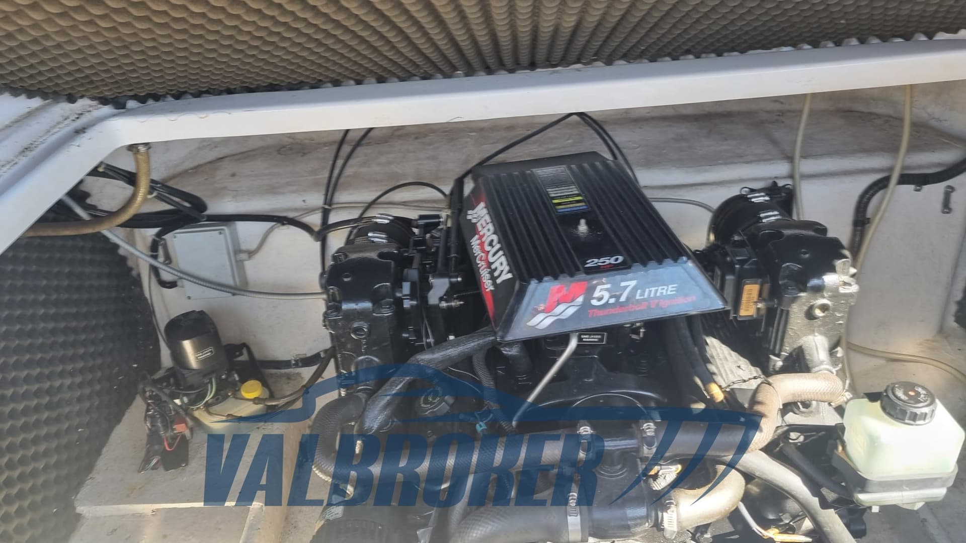 Abbate Tullio Sea Star Super gebraucht - Hauptbild 11